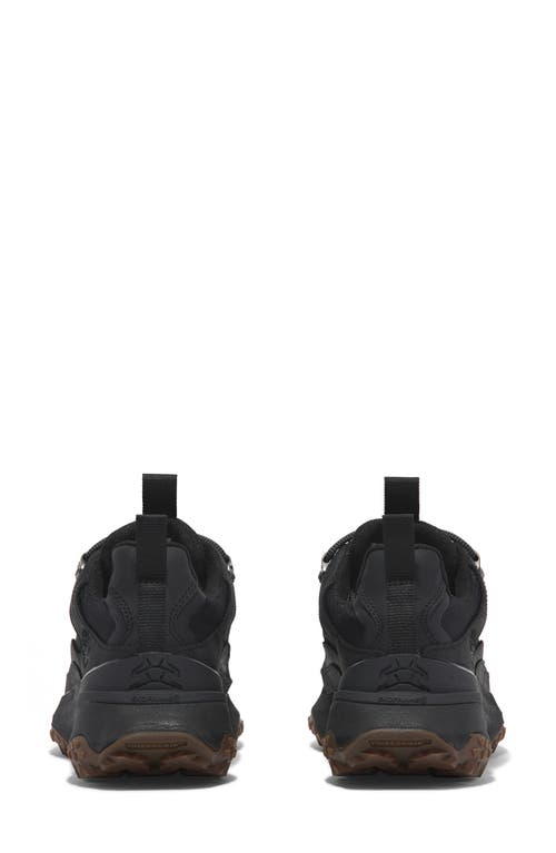 Timberland Motion Access Waterproof Sneaker In Black Mesh