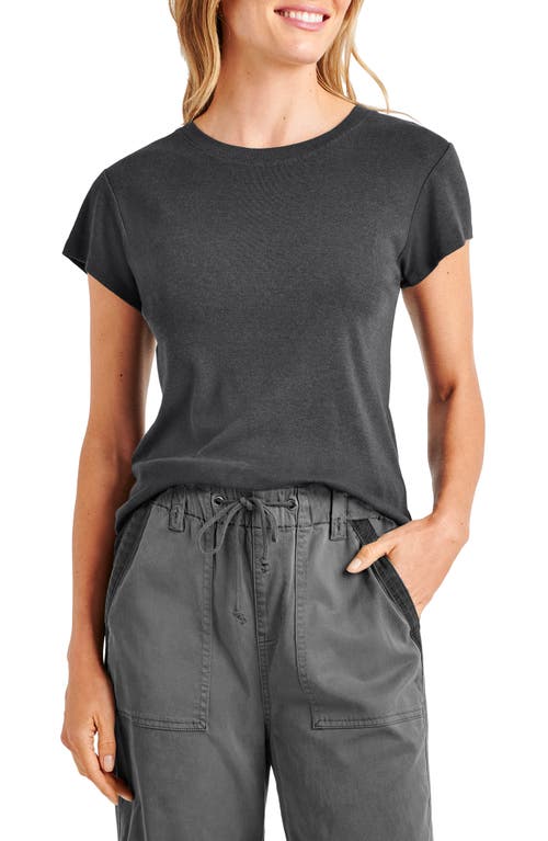 Splendid Faye Crewneck Tee In Lead
