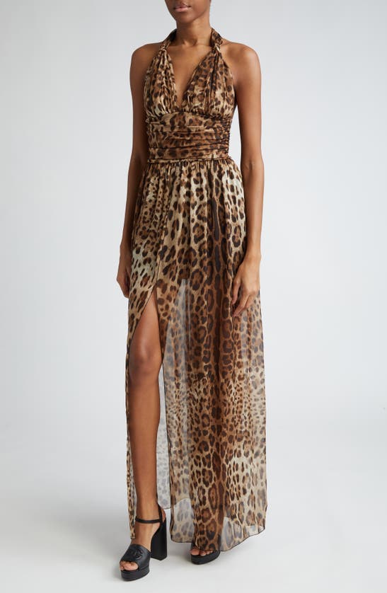 Shop Dolce & Gabbana Leopard Print Silk Chiffon Halter Dress In Hy13m Leo New
