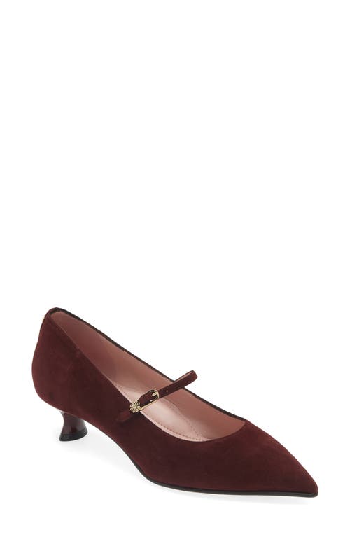 Naot Rosalie Pointed Toe Pump in Burgundy Suede 