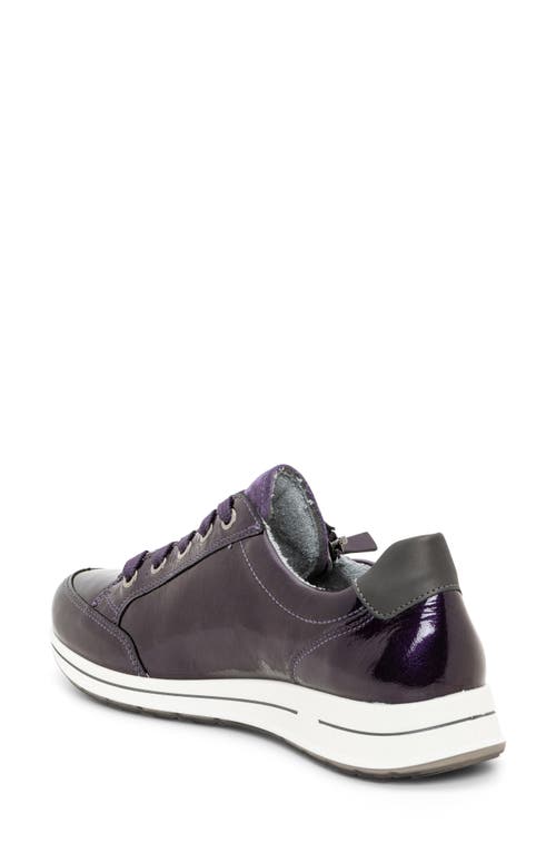 Shop Ara Oleanna Zip Sneaker In Purple