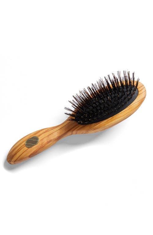 Altesse Studio Beaute Petite Repair & Shine Brush For Fine To Medium Hair In No Color