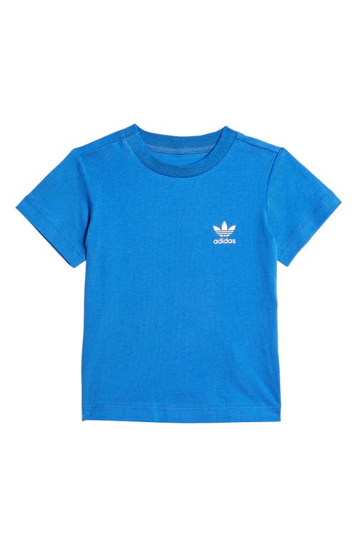 adidas Adicolor Cotton T-Shirt in Blue