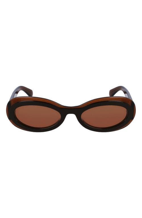 Ferragamo Classic Logo 54mm Oval Sunglasses In Brown