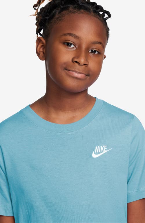 Shop Nike Kids' Embroidered Swoosh T-shirt In Aquarius Blue/white