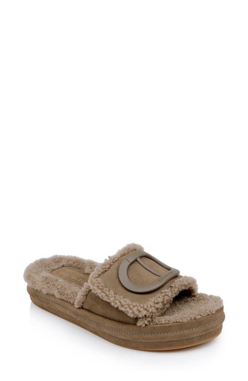 Shop Dee Ocleppo Lima Genuine Shearling Platform Sandal In Dark Taupe