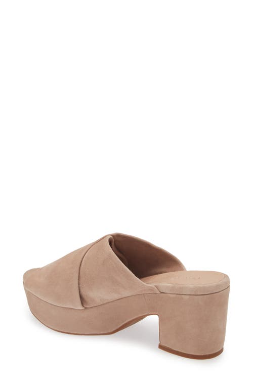 Shop Chocolat Blu Georgette Platform Slide Sandal In Latte Suede