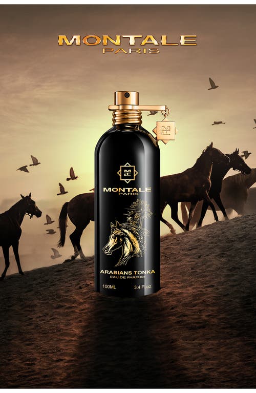 MONTALE PARIS MONTALE PARIS ARABIANS TONKA EAU DE PARFUM