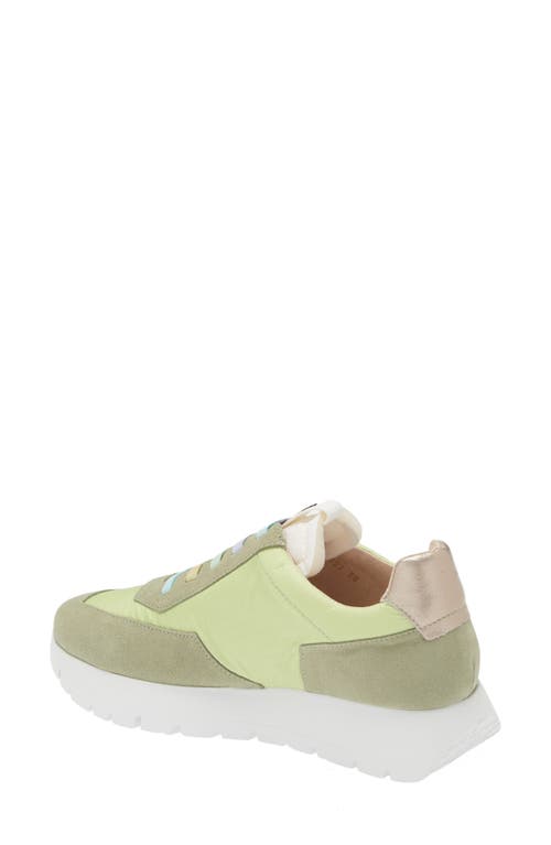 Wonders Odisei Sneaker In Trend Oil/nylon Lima