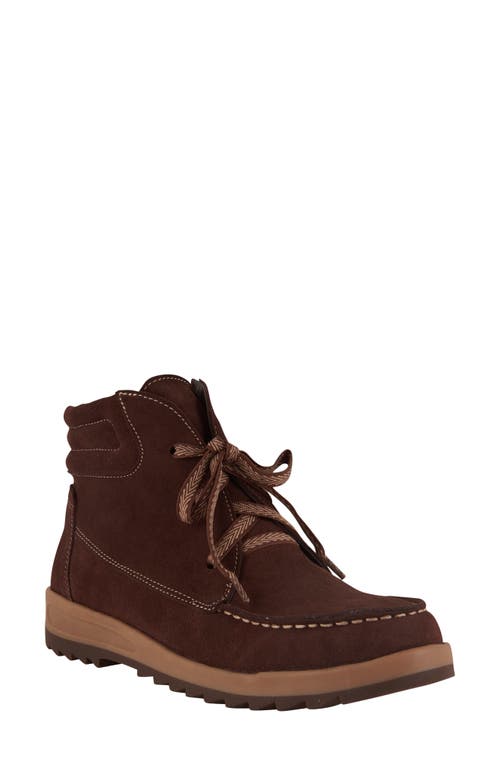 David Tate Sidra Bootie in Brown