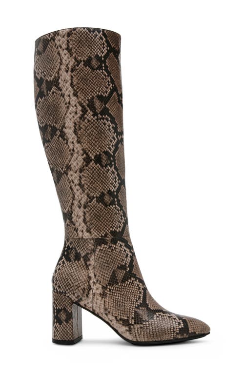 Shop Anne Klein Beth Snakeskin Embossed Knee High Boot In Natural/snake Pu