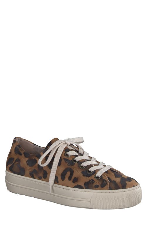 Bixby Platform Sneaker in Leopard White Combo
