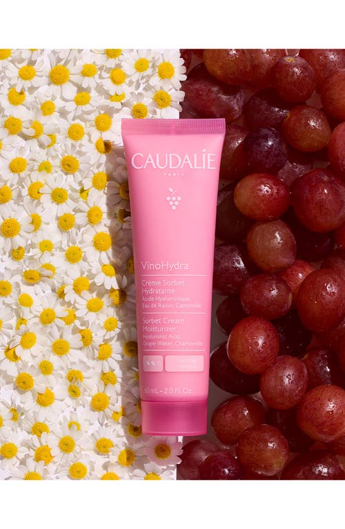 Caudalíe Vinohydra Sorbet Cream Moisturizer In No Color