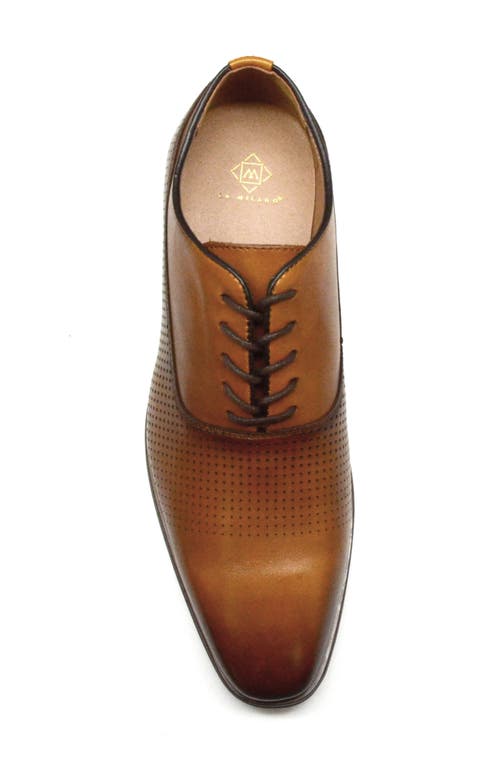 La Milano Chesterfield Oxford In Cognac