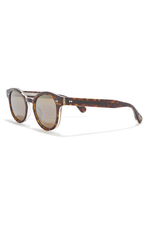 Maui Jim 49mm Core Round Polarized Sunglasses In Tortoise Tortoise Bronze