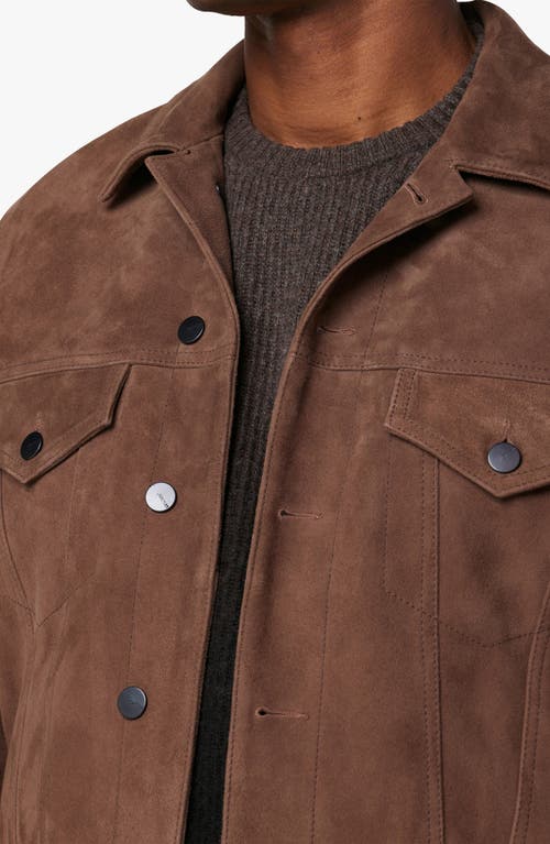 Joe's Cash Suede Trucker Jacket In Oakwood