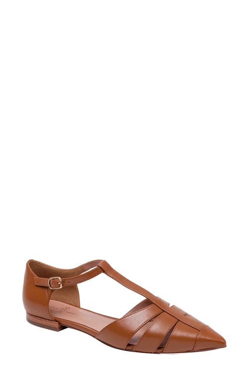 Linea Paolo Dessie Flat at Nordstrom,