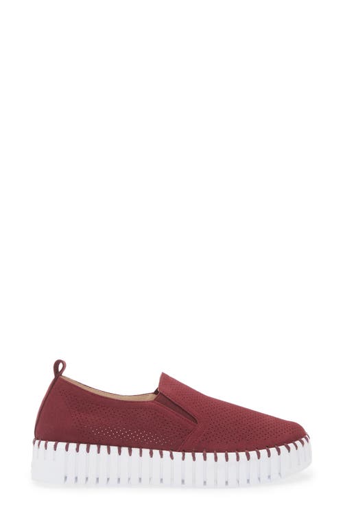 Ilse Jacobsen Tulipu Perforated Platform Sneaker In Winetasting