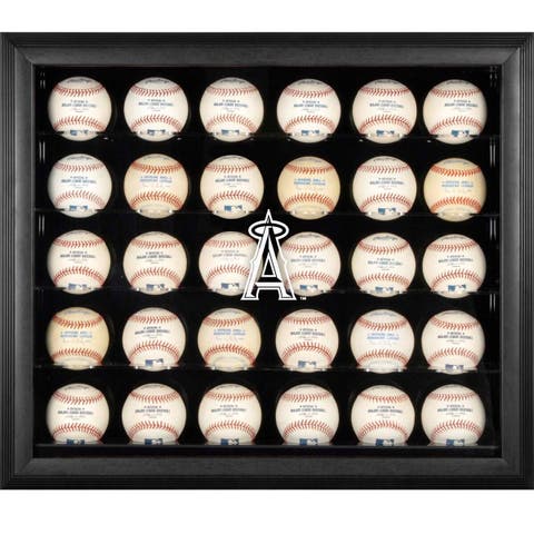 Fanatics Authentic Arizona Coyotes Black Framed Logo Jersey Display Case