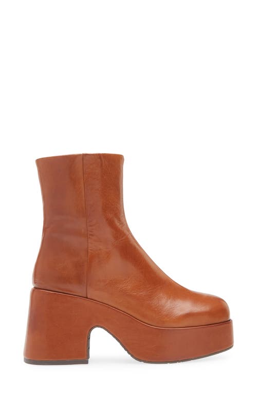 Chocolat Blu Harris Platform Bootie In Brown Leather