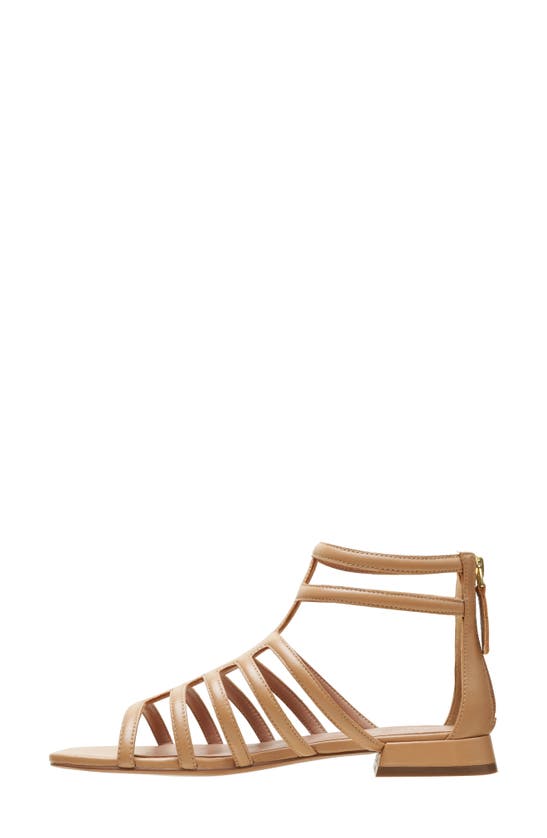 Shop Linea Paolo Lital Strappy Sandal In Desert