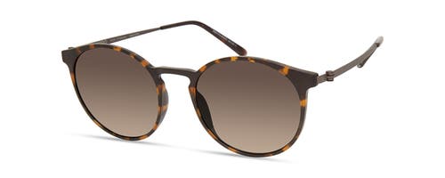 Modo 701 Sunglasses In Brown Tortoise