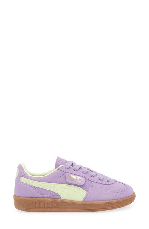 Shop Puma Kids' Palermo Sneaker In Lavender Alert-cool Cucumber