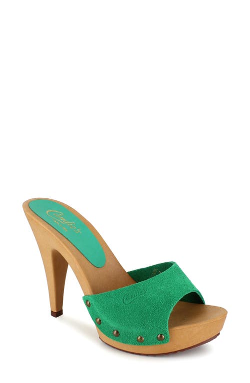 Viviana Slide Sandal in Green