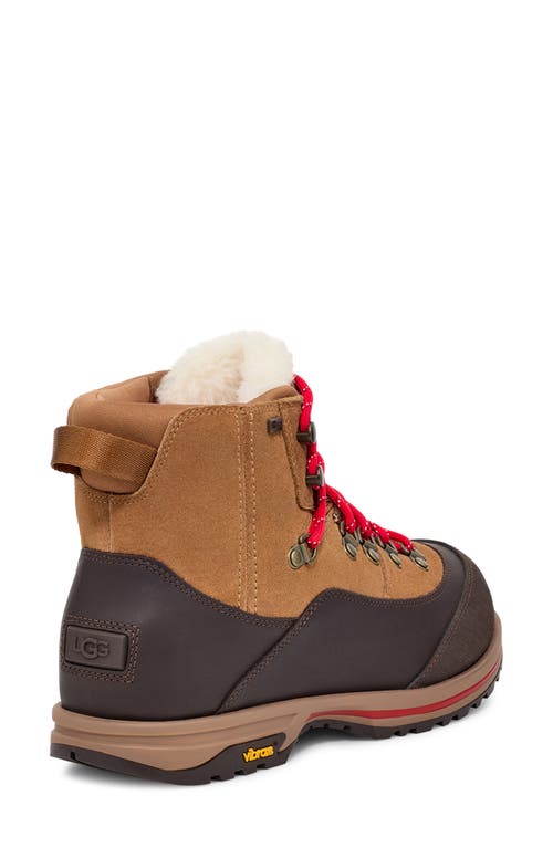 Shop Ugg(r) Brecken Waterproof Lace-up Boot In Chestnut