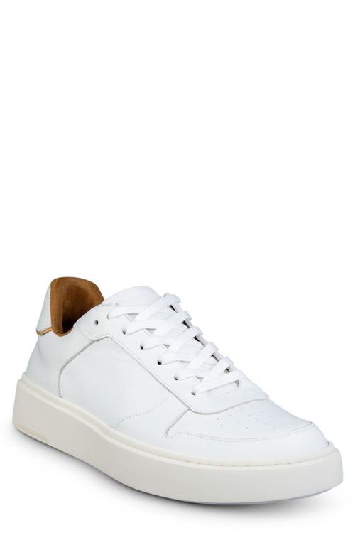 Owen Sneaker in White