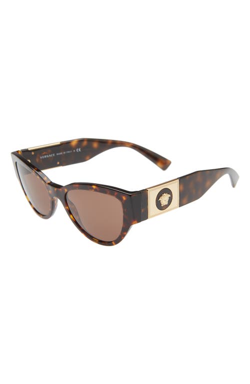 Shop Versace Phantos 55mm Cat Eye Sunglasses In Havana/dark Brown