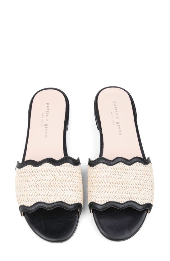 Shop Patricia Green Emma Raffia Slide Sandal In Black