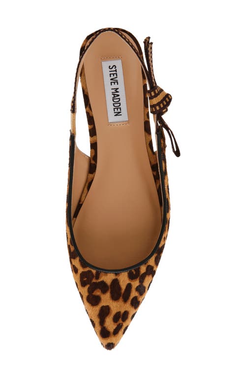 Shop Steve Madden Olsen Slingback Genuine Calf Hair Pointed Toe Flat In Leopard/tan