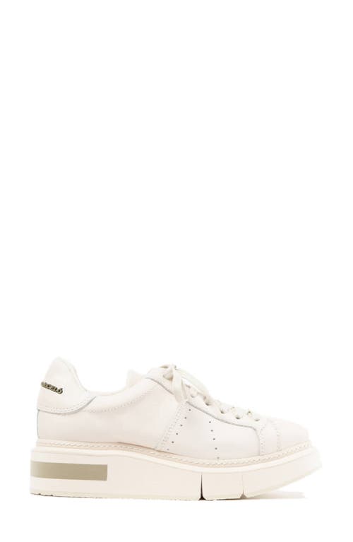 Shop Paloma Barceló Paloma Barcelo Agen Sneaker In White/gesso-salvia