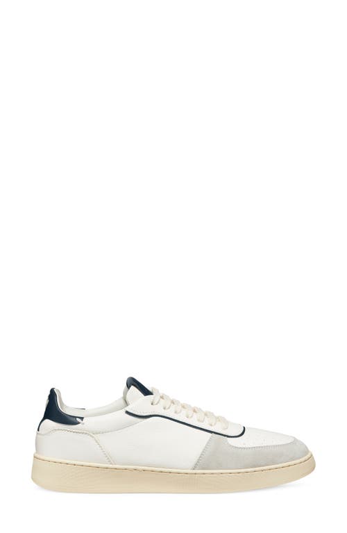 Shop Stuart Weitzman Sw Courtside Sneaker In Light Grey/white/nice Blue