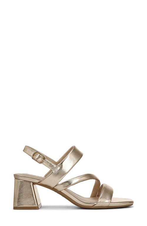 LifeStride Celia Sandal in Gold 