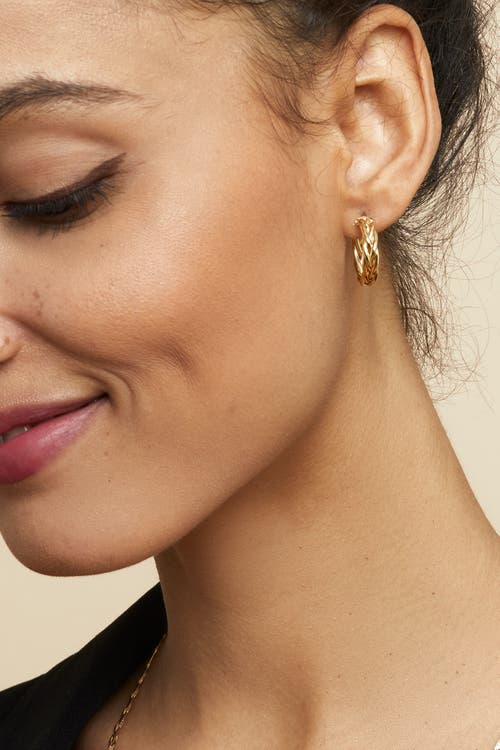 Oradina 14k Yellow Gold Caesar Midi Hoops In Yellow Gold