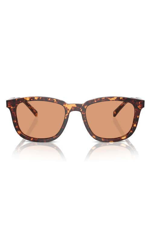 Prada 53mm Pillow Sunglasses In Havana/orange