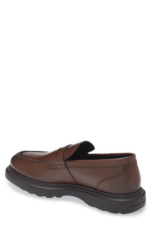 Shop Stuart Weitzman Alvin Penny Loafer In Brown