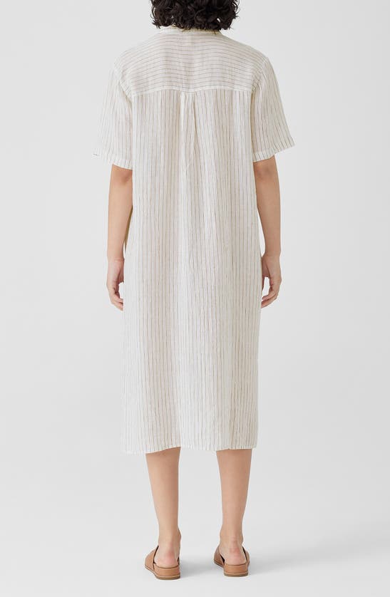 Shop Eileen Fisher Classic Collar Stripe Organic Linen Shirtdress In Bronze