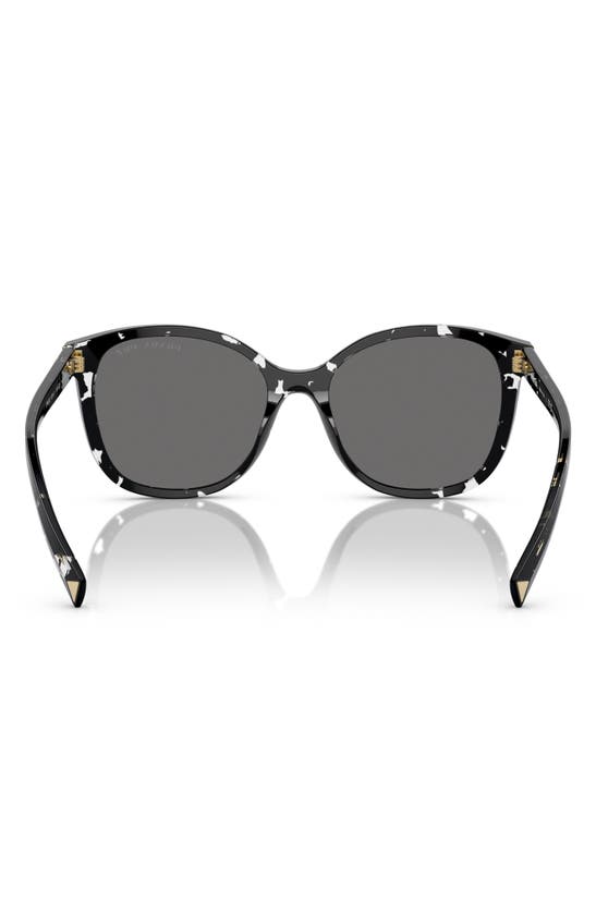 Prada 53mm Cat Eye Sunglasses In Black Tortoise