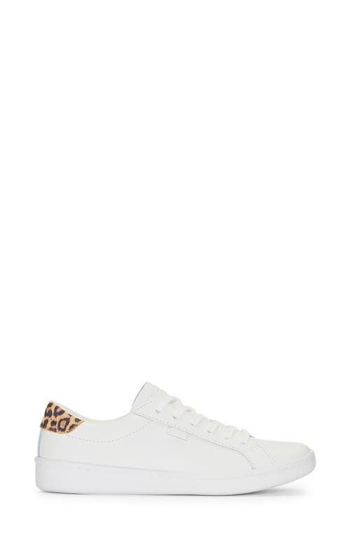 Shop Keds ® Ace Leo Leather Sneaker In White/tan