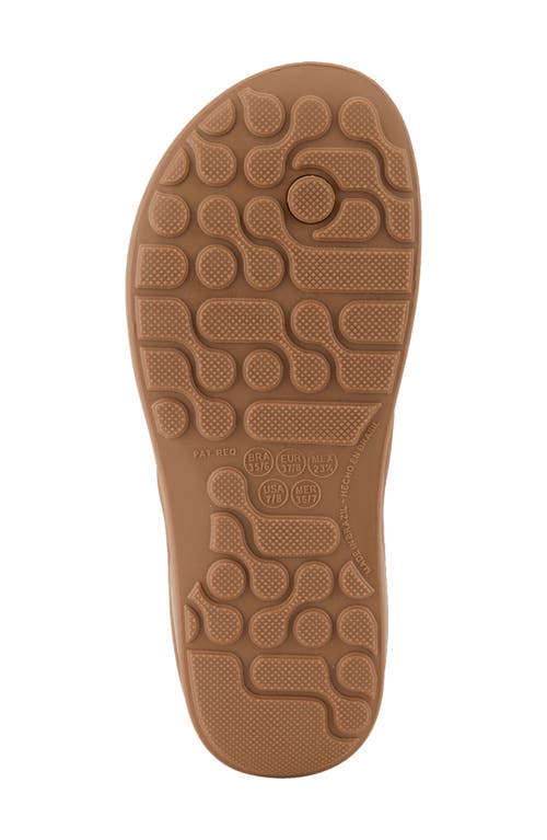 Shop Spring Step Contilo Flip Flop In Tan