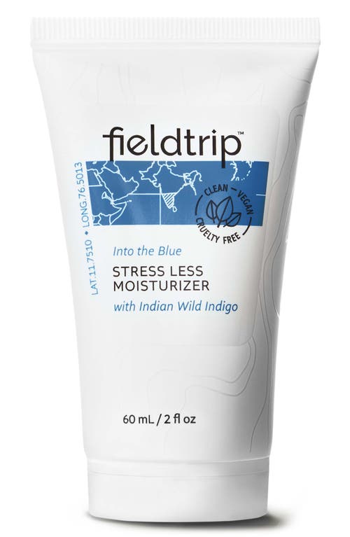 Into the Blue Stress Less Moisturizer