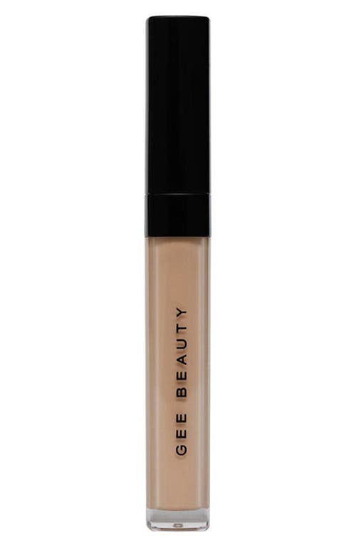 Gee Beauty Brightening Concealer In 2