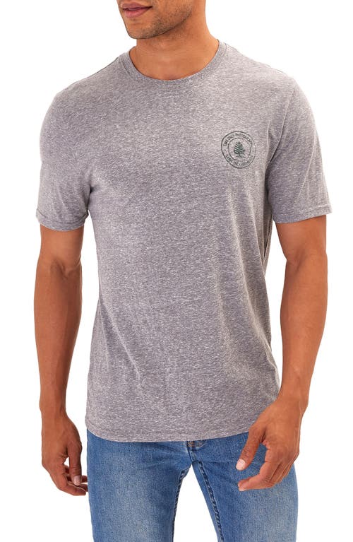 Threads 4 Thought Pine Grove Graphic T-Shirt Heather Grey at Nordstrom,