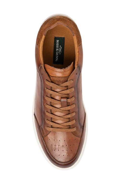 Shop Rodd & Gunn Sussex Street Sneaker In Cognac