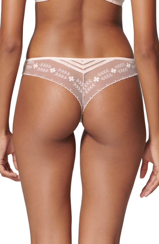 Shop Simone Perele Marthe Embroidered Mesh Tanga In Petal Powder