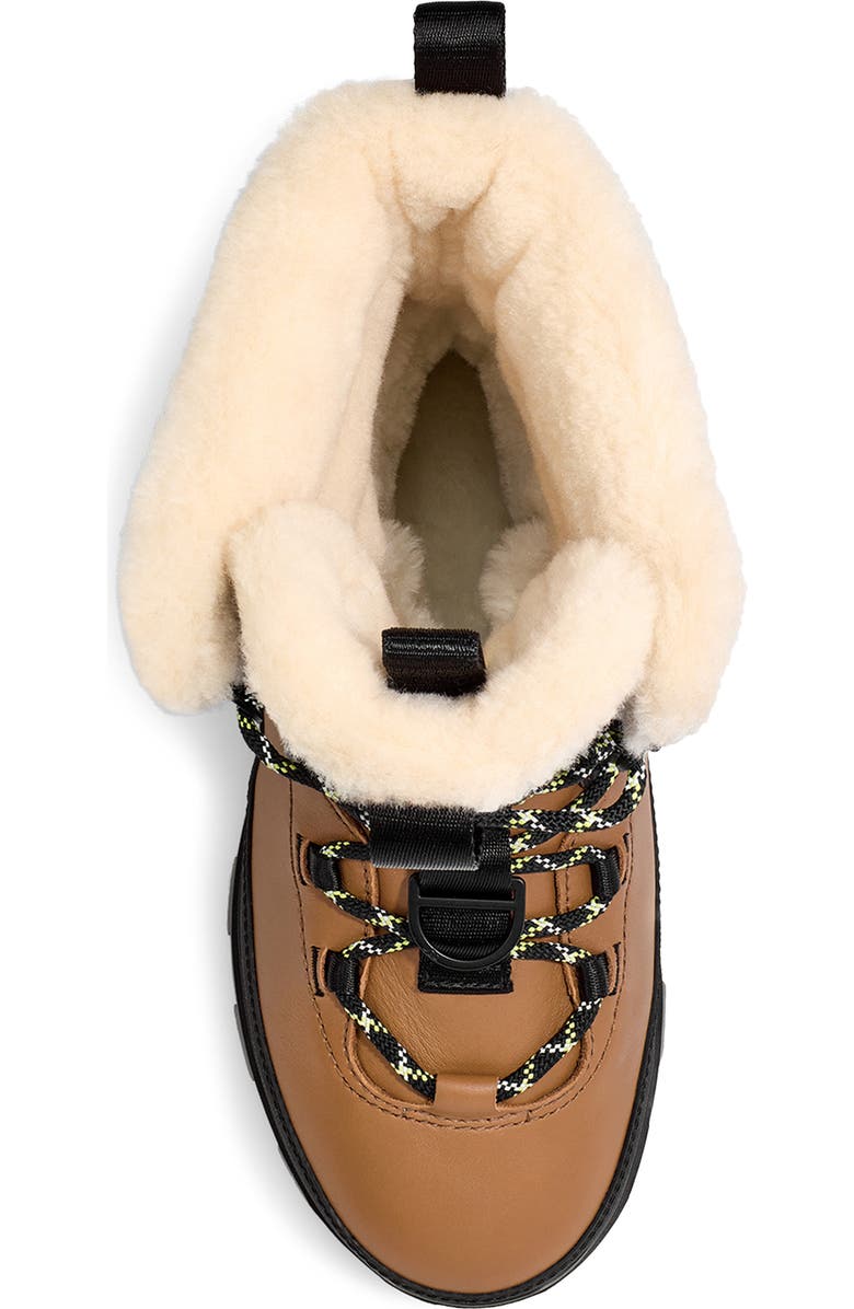 UGG<sup>®</sup> Shasta Gore-Tex<sup>®</sup> Waterproof Boot, Alternate, color, Chestnut