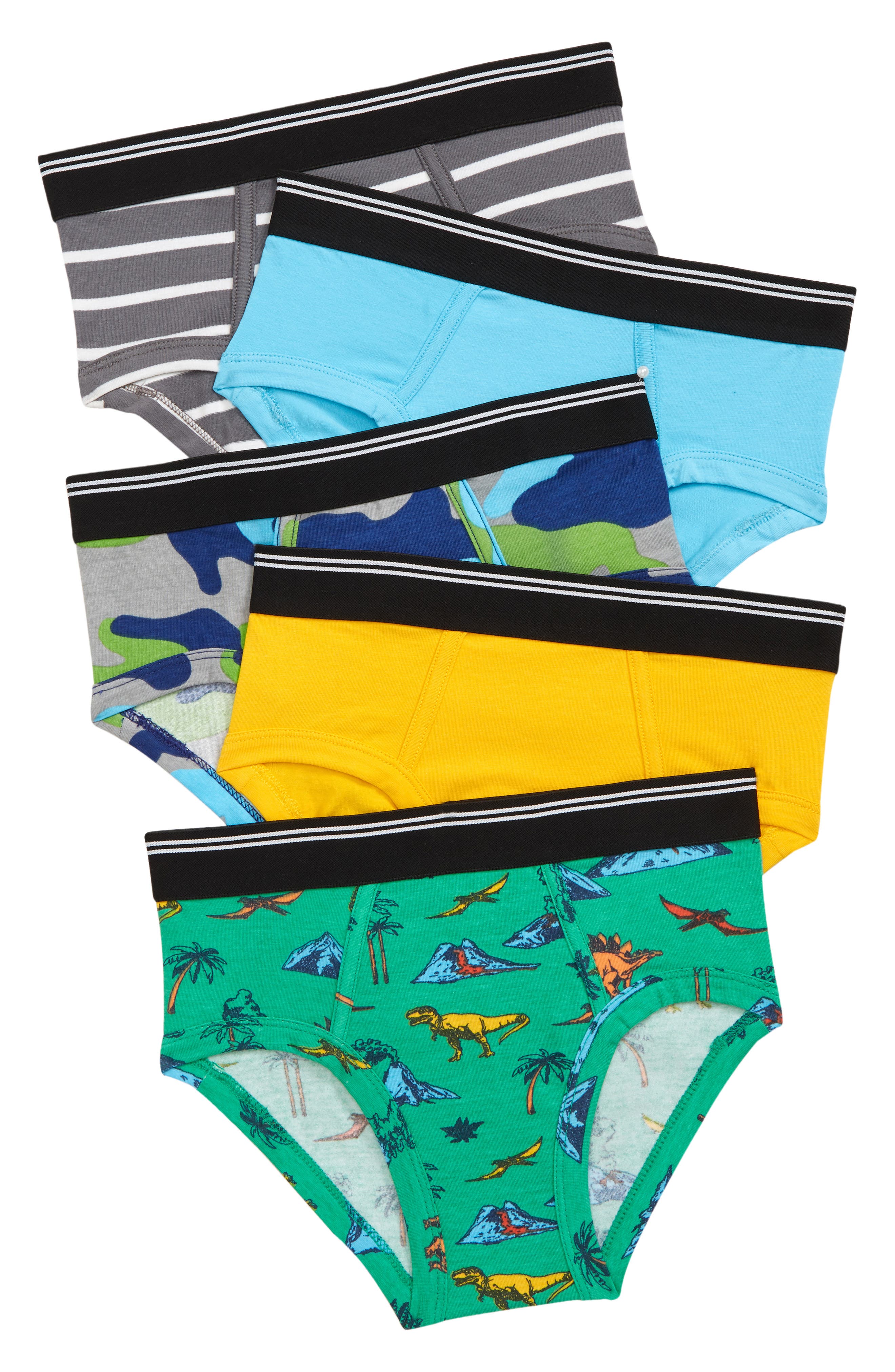 Kids Assorted 5-Pack Briefs in Dinoscape Pack at Nordstrom Nordstrom Clothing Underwear Briefs 